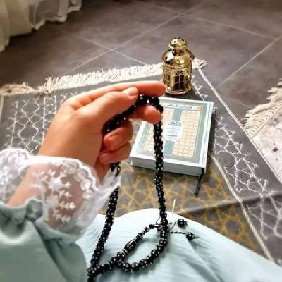 chahedmohmed's profile picture. طبخ