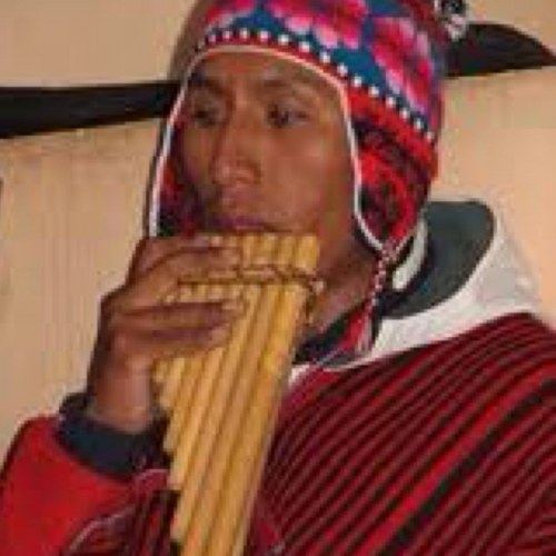 whiteant10's profile picture. 