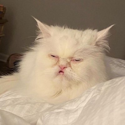 MissKrisSxSW's profile picture. “One of the corniest ppl of all time.”