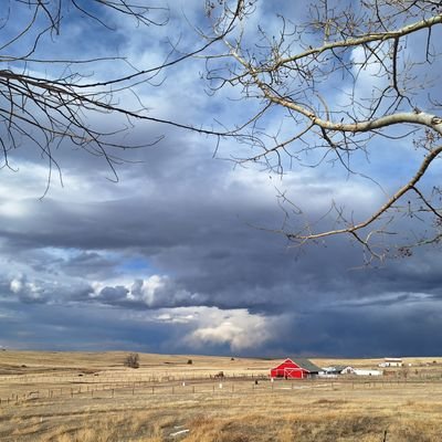 Rural Colorado. Right to Farm. Actual neighbor's barn, not mine, actual low quality landscape shot, I blame my equipment.