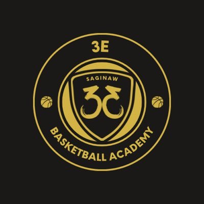 3EBasketballAcademy