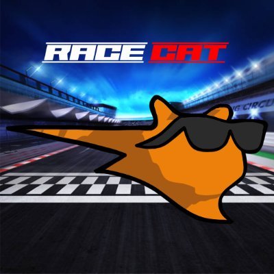 RACECAT_SOL Profile Picture