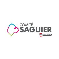 Comité Saguier(@ElSaguier) 's Twitter Profile Photo