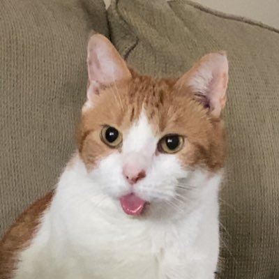 alr00's profile picture. woman of God. girl mom. wife. nurse. beer snob. music lover. pats fan.