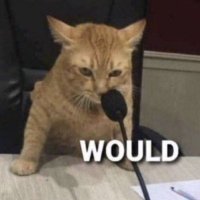 WOULD (@wouldcalls) 's Twitter Profile
