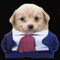 PrecisePumps (@precisepumps) 's Twitter Profile