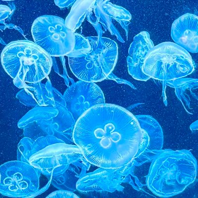 9ragesan's profile picture. ROM＆壁打ち垢 好きな活動者様・絵師様・作家様をこっそりゆるりと追っていたい 貴方様の活動や作品が大好きです👀✨️無言フォロー申し訳ありません🙇‍♂️💦 20⤴︎︎︎ 成人済みです。