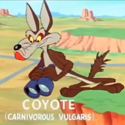 Coyote_gp Profile Picture