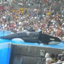 Demi Murray - @DemiMurray3 - Twitter