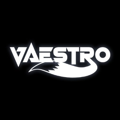 Vaestro