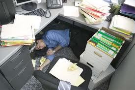 saylorforpres's profile picture. In person I am everything and more