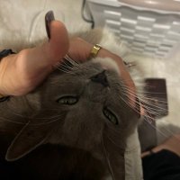 555 (@simplejars) 's Twitter Profile