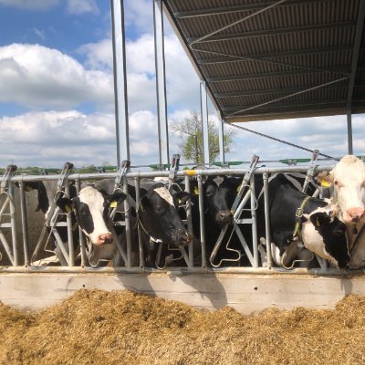 YONGBING_HE's profile picture. 