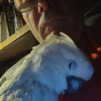 Tim Sullivan (@timaxustim) 's Twitter Profile