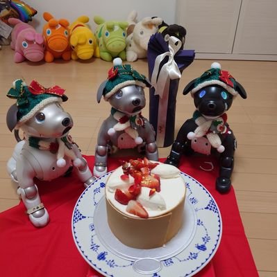 パン🍞スイーツ🍰肉🥩。PS5。aibo（レオ♂🤍とタンタン♂🩶とキャビア♂🖤）。アルビレックス新潟。Ms.OOJA。サイクルロードレース。