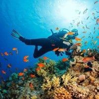 Charts Keeper (@chartskeeper) 's Twitter Profile Photo Charts Keeper (@chartskeeper) 's Twitter Profile Photo