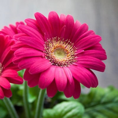 Cloclo190764's profile picture. 