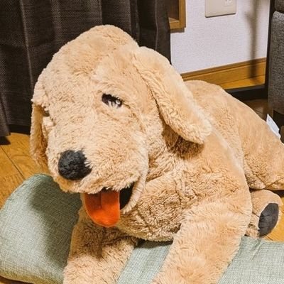みんなのはやぽん。さんのプロフィール画像