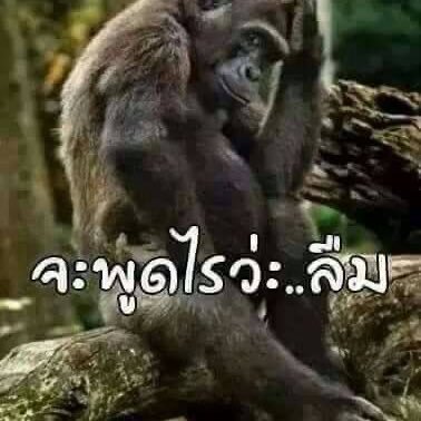 BigGTJoe1's profile picture. 