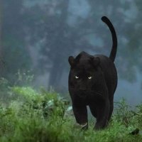 Panther Swap (@pantherswapio) 's Twitter Profile