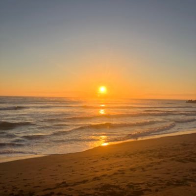 chippyblueberry's profile picture. Herb gardener🌿| Hand-work lover| Waldorf teacher |Training Extra Lesson | caring disabled mom & bro🚄⇄🏄‍♀️ ×🧘‍♀️×🧶×Bitcoin₿ Bitcoin will change the world