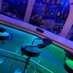 アドラシオン(ハプニン⚫︎バー)香川県 (@ad_bar_hp) Twitter profile photo アドラシオン(ハプニン⚫︎バー)香川県 (@ad_bar_hp) Twitter profile photo