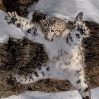 spoinjius's profile picture. flowers in your hair; he/him