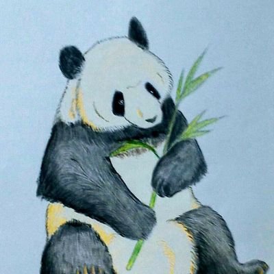 TPGOutsider666's profile picture. 画家・創作家。【いちかわアーティストバンク】所属。古今東西の脊椎動物（ヒトを除く）がメインテーマ。【身体表現性障害】にて闘病中。●ナウル検定4級 ●スパムアカウント絶許マン（確認次第スパブロ）国家賠償請求訴訟 台湾加油⇐魔除け●個人からのXのDMによる作品制作依頼は受けていません