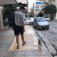 Carlos Hanke Barajas (@carloswalross) 's Twitter Profile