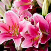 π π¦ πΉ π§‘πΈ Mamma Rosa Maria ππͺ·πΈππ» (@mammarosamaria6) 's Twitter Profile Photo π π¦ πΉ π§‘πΈ Mamma Rosa Maria ππͺ·πΈππ» (@mammarosamaria6) 's Twitter Profile Photo