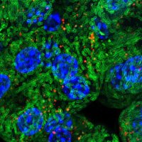 Francois Singh Lab (@singhlabiceland) 's Twitter Profile Photo Francois Singh Lab (@singhlabiceland) 's Twitter Profile Photo