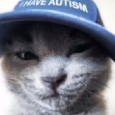 tomzeii's profile picture. hi I'm Tommy, twitter is just a political wasteland at this point