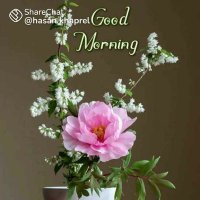 Suman dhingra (@dhingra65) 's Twitter Profile Photo Suman dhingra (@dhingra65) 's Twitter Profile Photo