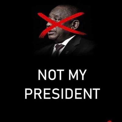 Peter93117462's profile picture. Auckland Blues and All Black supporter
rugby coaching, fitness coach,dad,
healthy living