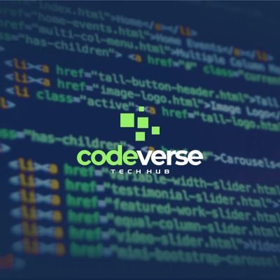 CodeverseHubilr Profile Picture