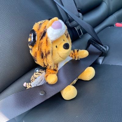 yoshizou4243's profile picture. クルマ、ディズニーなど好きなものいっぱい！ 無言フォロー失礼します。 BRZSTI Sport 日常のつぶやき多めです。