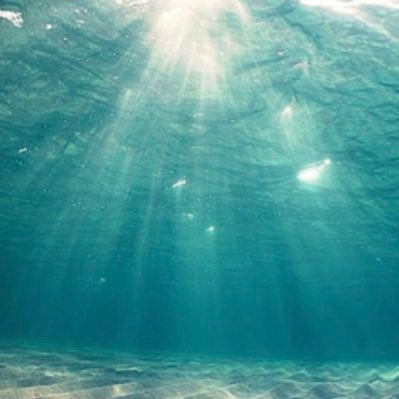 rinks_nuts's profile picture. 弁護士×起業家夫婦👫✨投資の勧誘は不要です。開示手続き完了済みです。