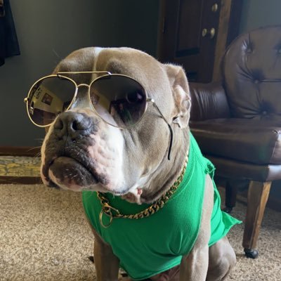 TheFattyScott's profile picture. I noticed you noticed the plastic badge. That’s right, I’m a Jr. Marshall at the local Dairy Queen.