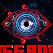 bigbosstimess Profile Picture