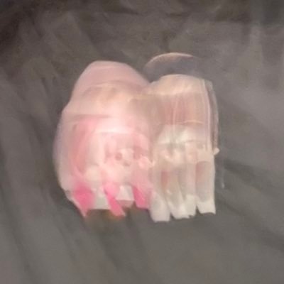 にがつさんのプロフィール画像