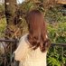 まゆ (@mayu09582747329) Twitter profile photo まゆ (@mayu09582747329) Twitter profile photo