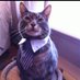 Here for entertainment (@carl35846) Twitter profile photo Here for entertainment (@carl35846) Twitter profile photo