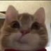 gatinha do audiovisual (@psychologicaln) Twitter profile photo gatinha do audiovisual (@psychologicaln) Twitter profile photo
