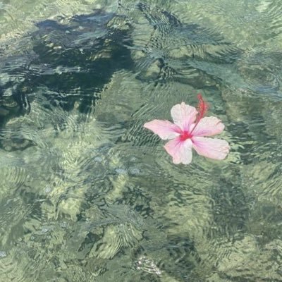 thekraalii's profile picture. 