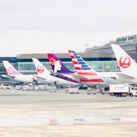 flight (@maui_123456789) 's Twitter Profile