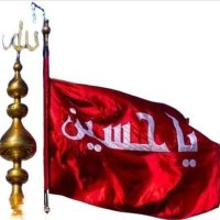 سید عامر رضوی (@amirriz110) 's Twitter Profile
