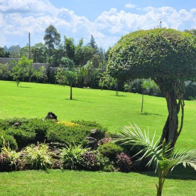 We excel in providing top-notch landscaping services. Landscaping is where nature and design harmoniously unite. Call us on +254 721 839082.