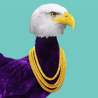 N0Mi (DaHomie)๐บ๐ (@0xn0mi) 's Twitter Profile