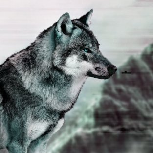 weldercom15's profile picture. 