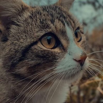 Klombianpoland's profile picture. ¿donde es la fiesta? 🤭